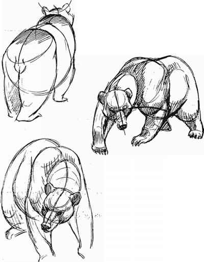 400x514 To Use Too Many Curves