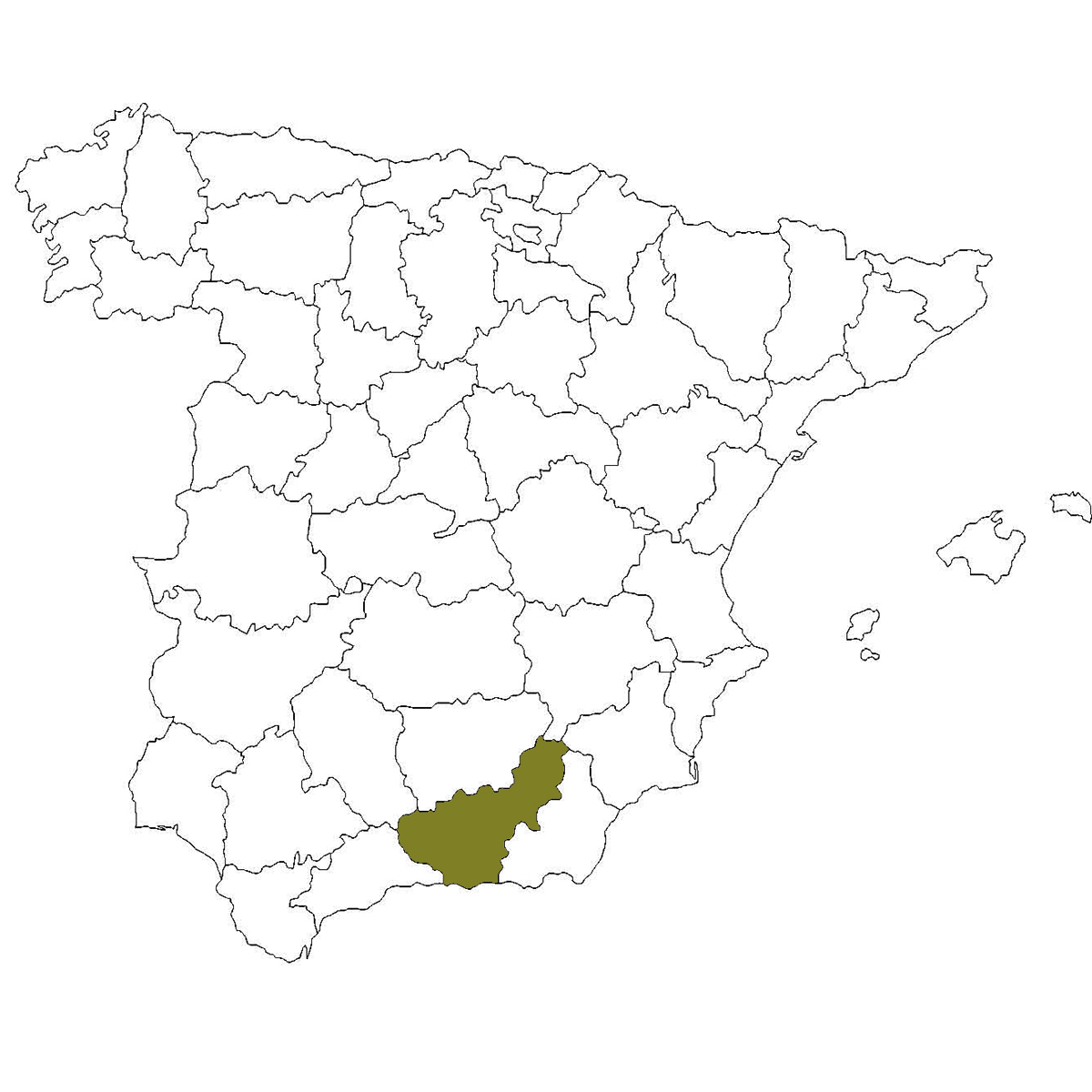 1200x1200 Production And Export Of Spanish Custard Apples