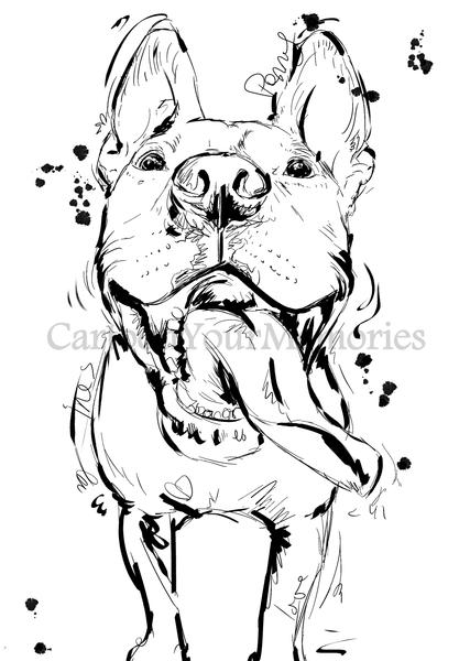 427x600 Custom Pet Sketch Cartoon Your Memories