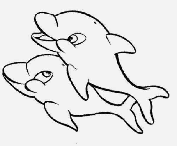 600x495 Dolphin To Draw Print Color Cut And Paste Coloring Sheets