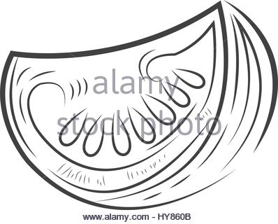 398x320 Tomato Cut Half Vector Drawing Stock Vector Art Amp Illustration