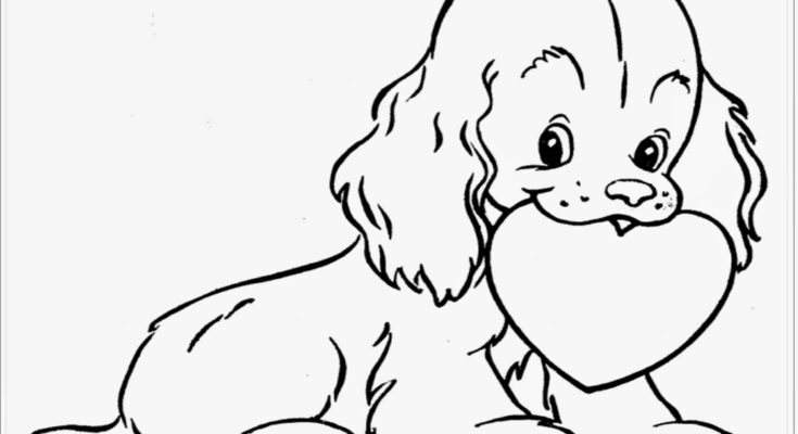 735x400 Cute Baby Otter Pictures Otter Baby Animal Coloring Page. Cute