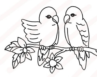 340x270 Cute Alpaca Jpg Etsy