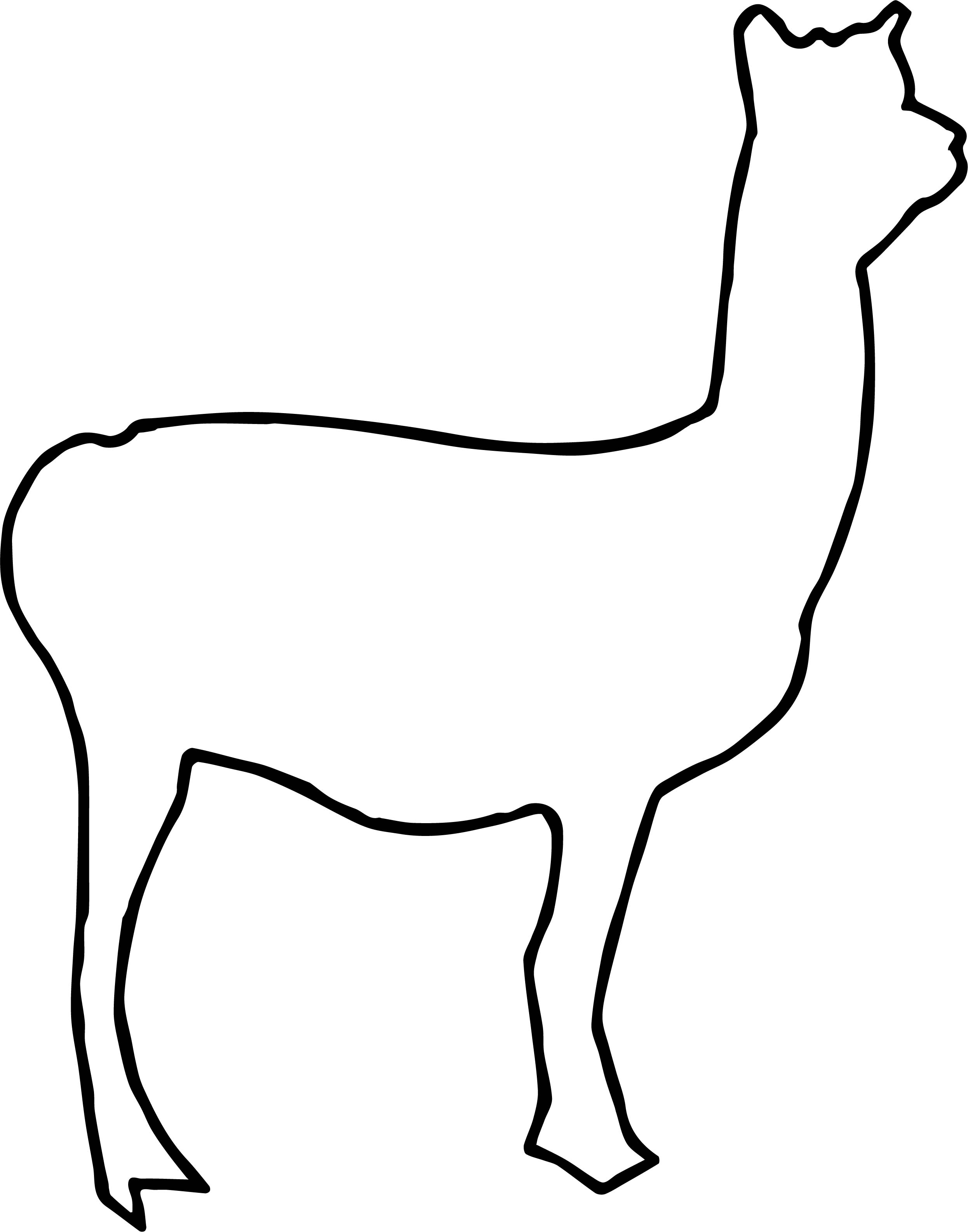 2492x3173 Kids Print Coloring Pages Llama Animal And Alpaca Printable