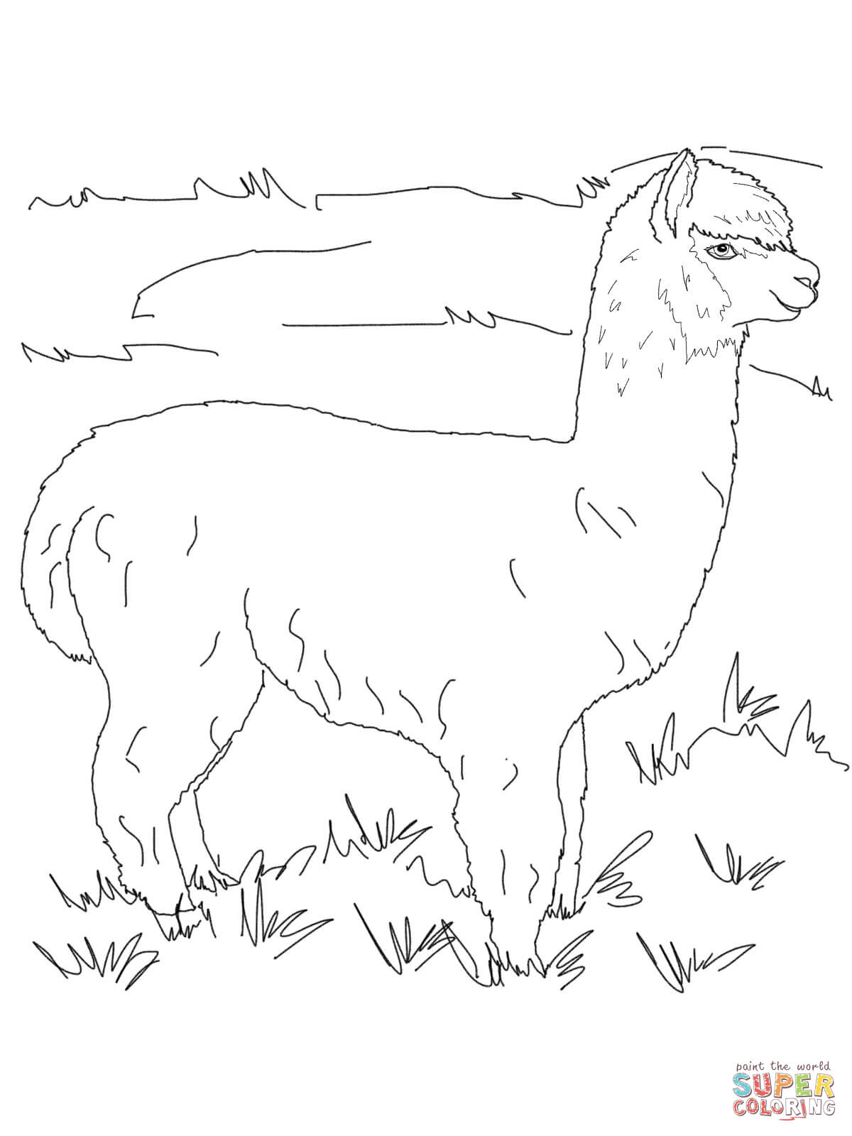 1200x1600 Alpaca Coloring Pages