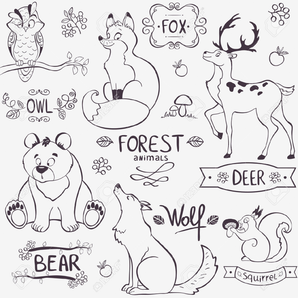 1024x1024 Forest Animal Drawings Illustration Set Cute Animals