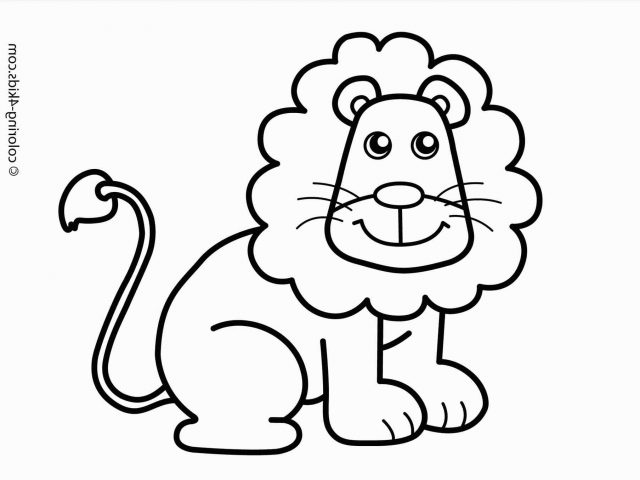 640x480 The Images Collection Of Cute Animal Drawing For Kids S Baby