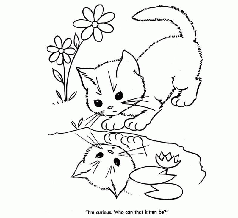 800x731 Coloring Pages Of Baby Animals Many Interesting Cliparts