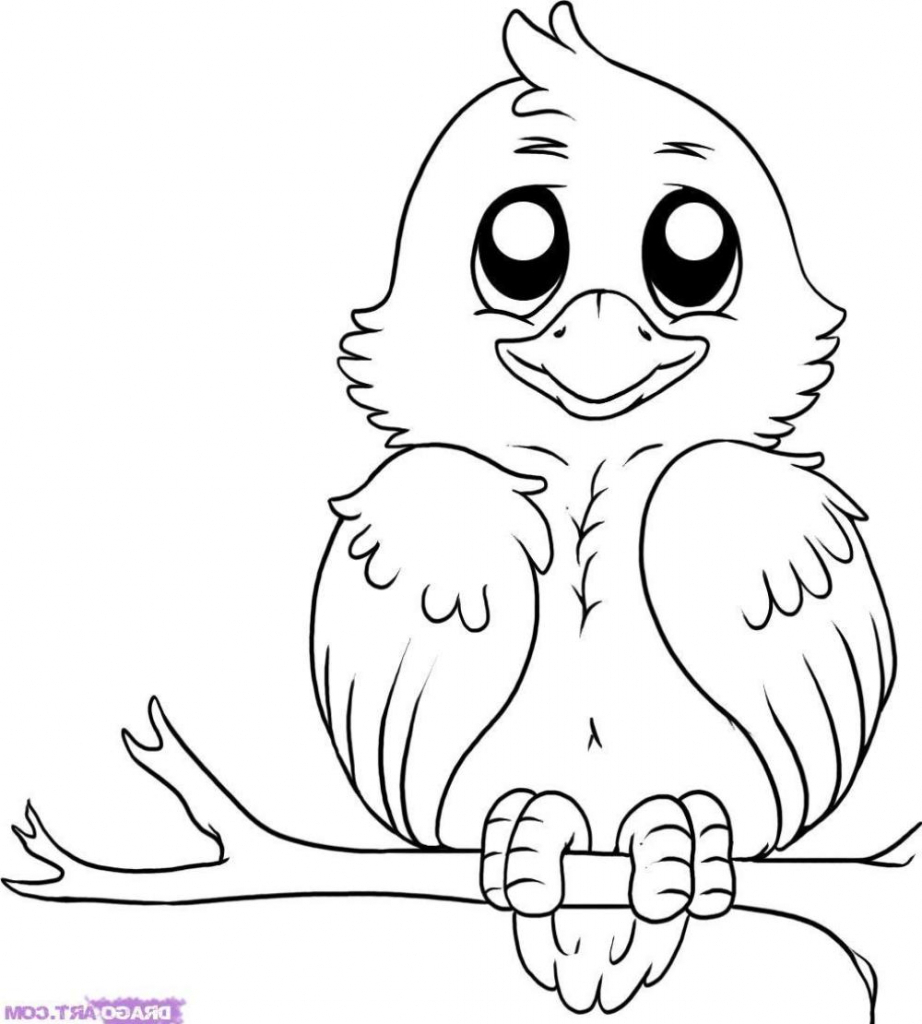 922x1024 Animal Drawing Images Printable Pictures Of Cute Animals Coloring