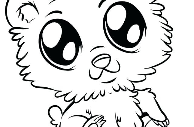 640x420 Cute Baby Animal Coloring Pages Together With How To Draw Cute