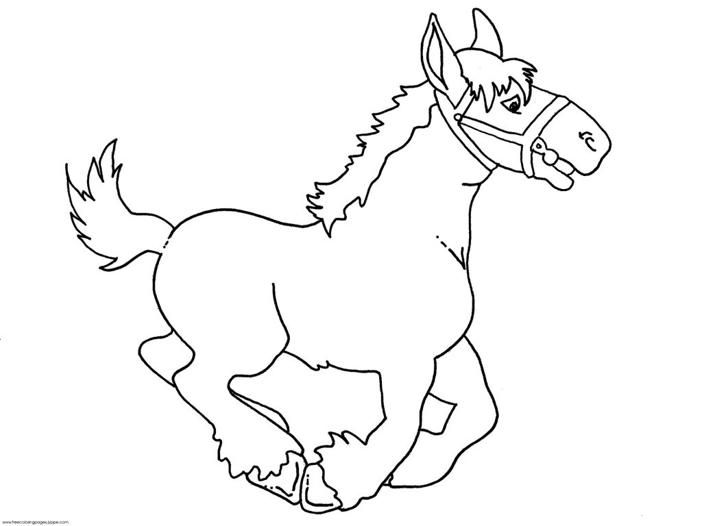 1024x768 Baby Horse Coloring Pages Bebo Pandco