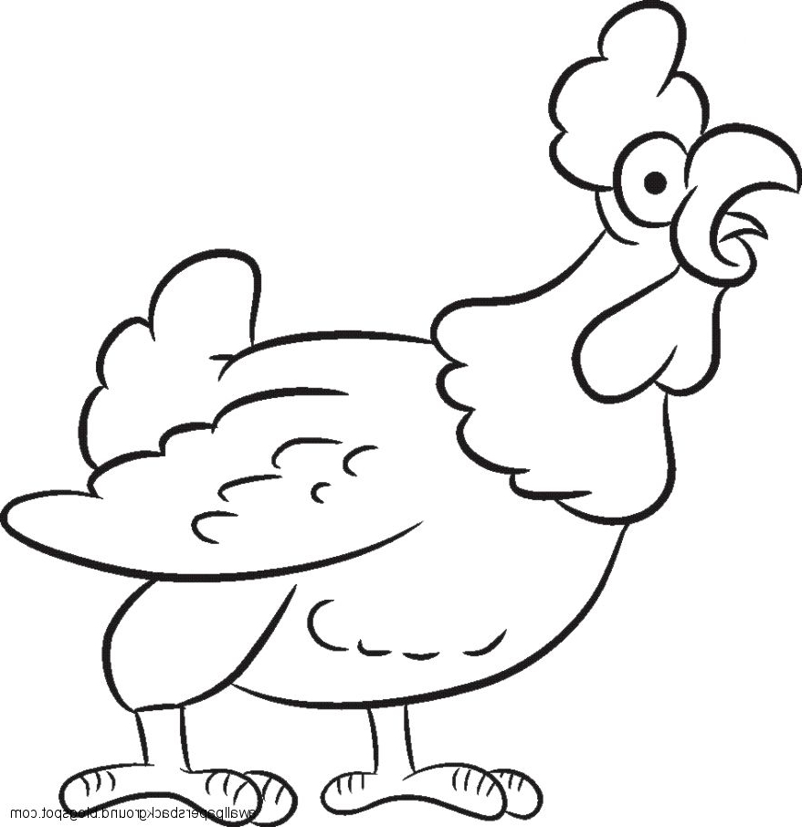 878x906 Cute Animals Drawings For Kids Baby Animal Drawings For Kids