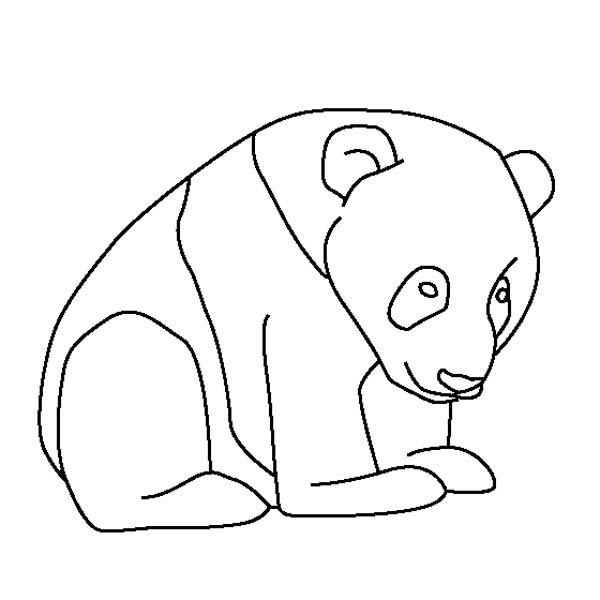600x600 Coloring Pages Draw A Panda Bear Find This Pin And More