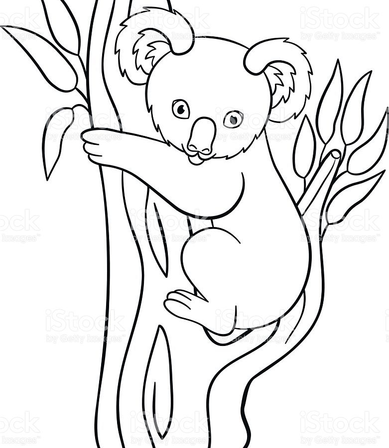 781x900 Coloring Pages Koala To Print And Download Free Printable Animals
