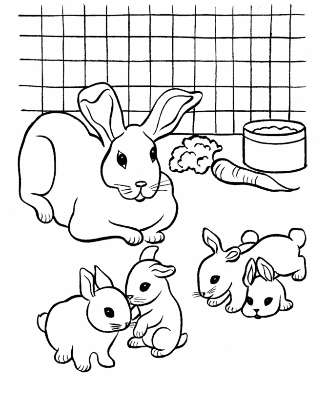 670x820 Baby Bunny Coloring Pages Coloring Page For Kids