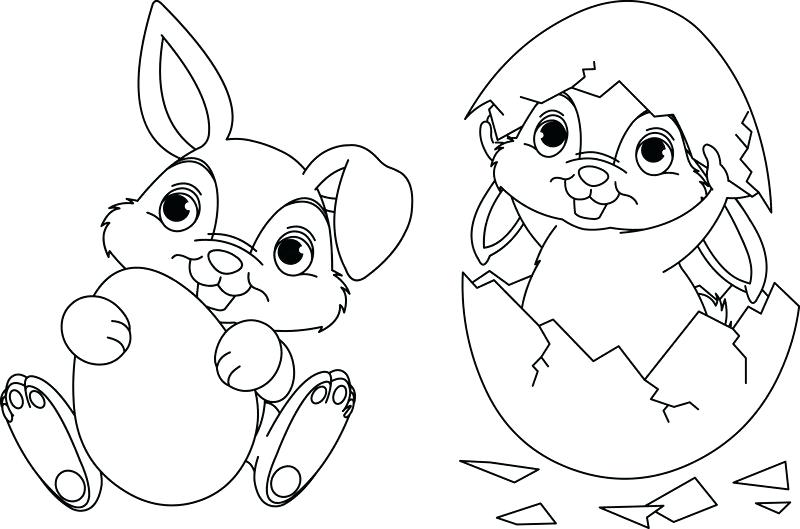 800x529 Cute Bunny Pictures To Color Convobox.co