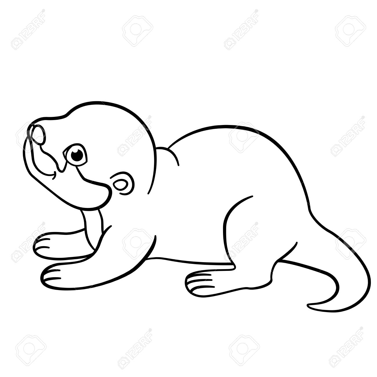 1300x1300 Coloring Pages. Little Cute Baby Otter Stands And Smiles. Royalty