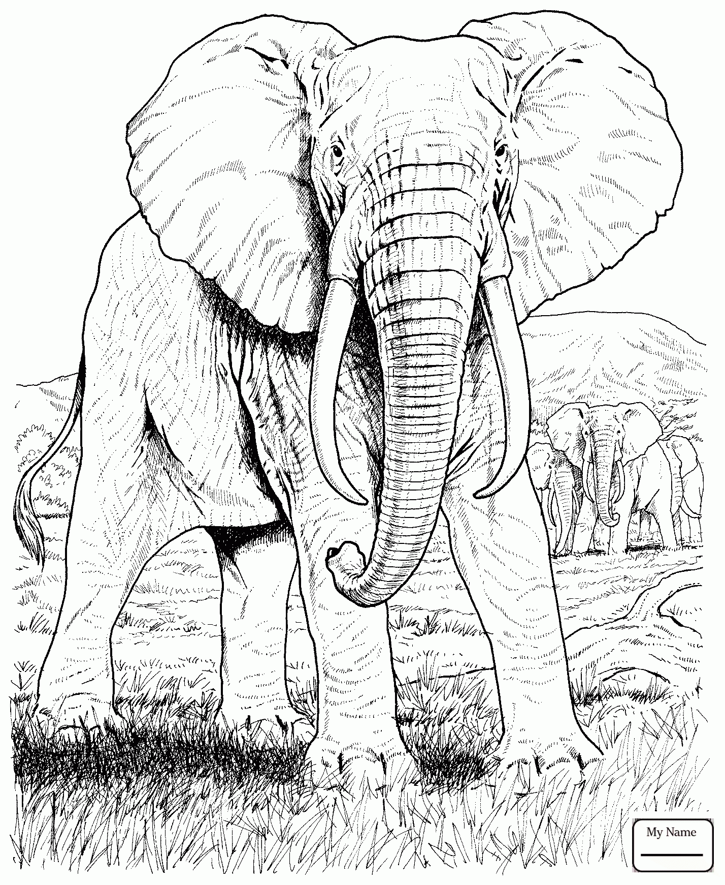 1428x1741 Coloring Pages Elephants Cute Baby Elephant Mammals