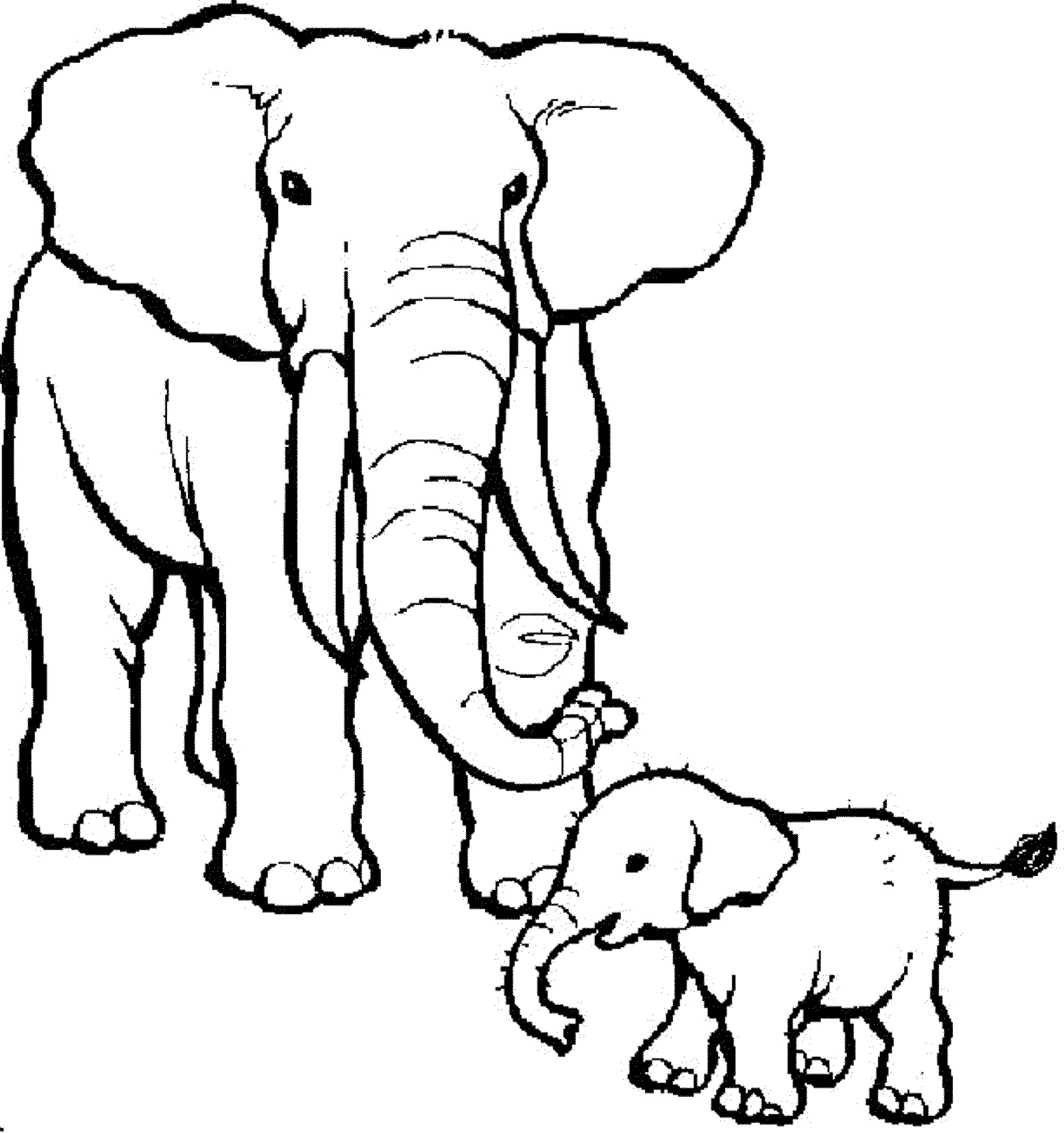 2000x2131 Cute Coloring Pages Of Elephants Free Draw To Color