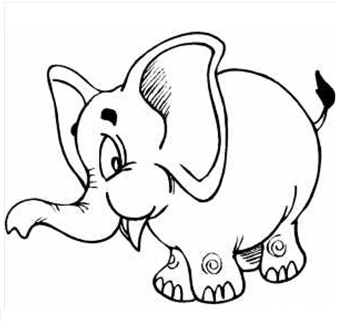 703x628 Baby Elephant Coloring Pages