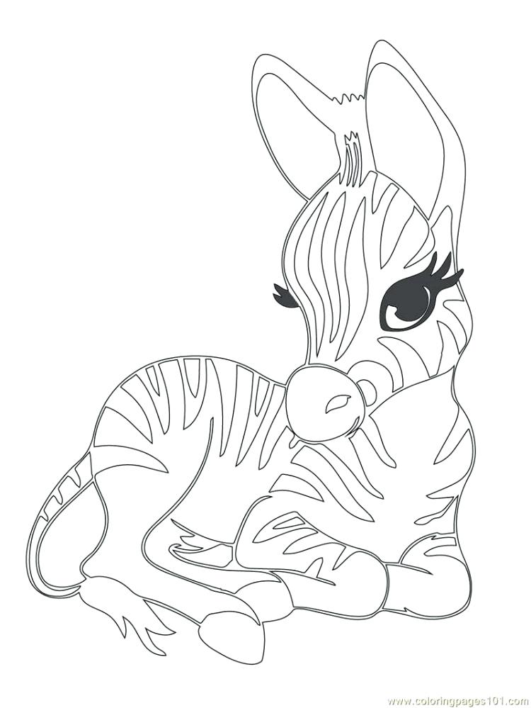 750x999 Baby Fox Coloring Pages