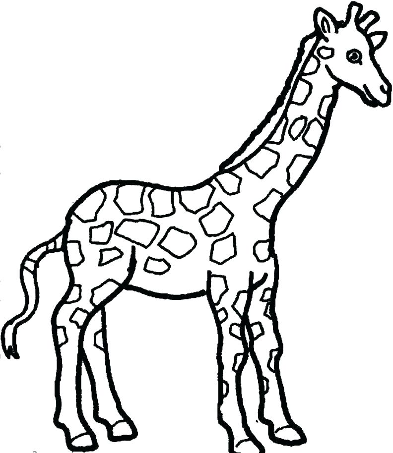 792x914 Giraffe Coloring Pages Cute Baby Giraffe Coloring Pages Christmas