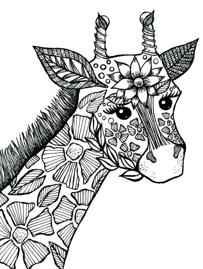 687x912 Giraffes Coloring Pages Baby Giraffe Giraffe Mandala Coloring
