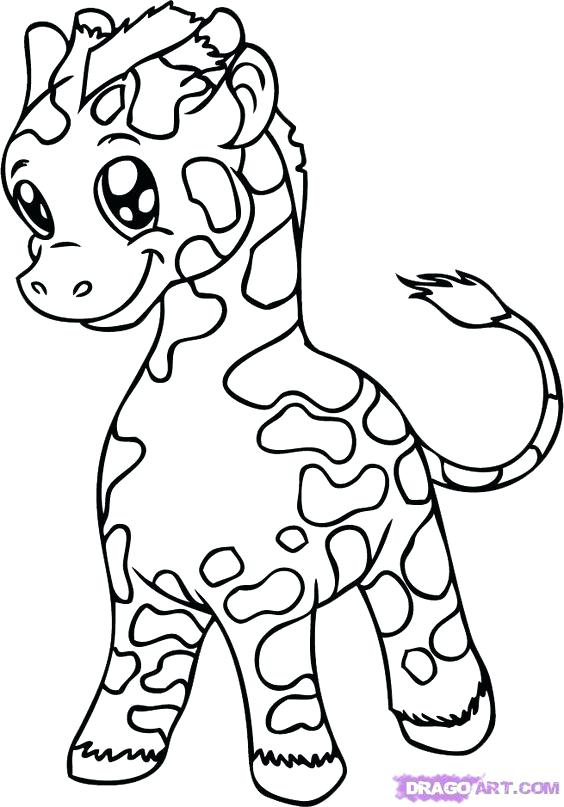 564x807 Baby Giraffe Coloring Pages Also Download Free Baby Giraffe
