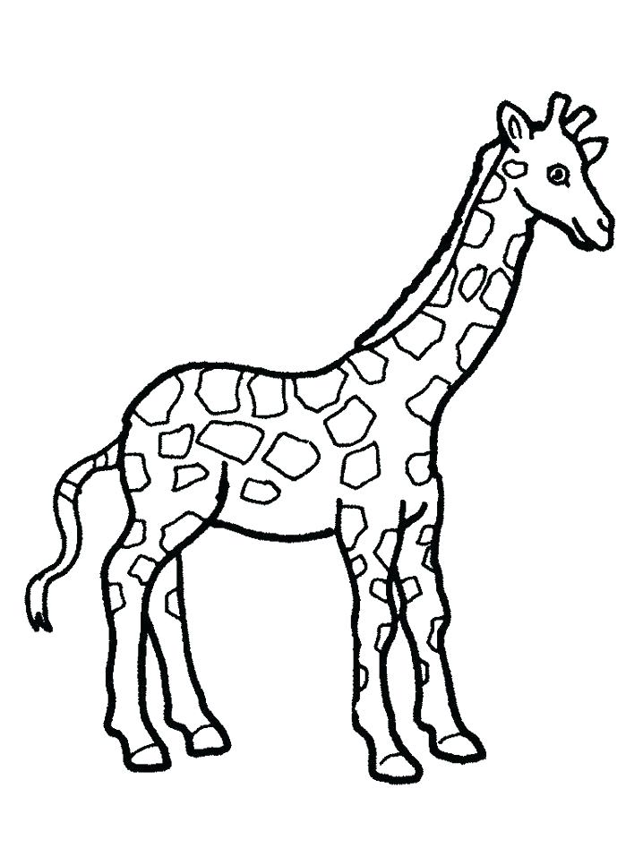 718x957 Giraffes Coloring Pages