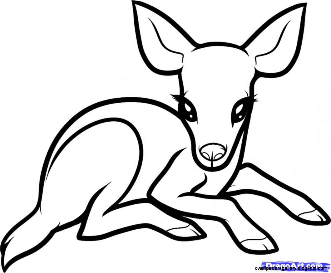 1060x875 Cute Baby Monkey Drawings