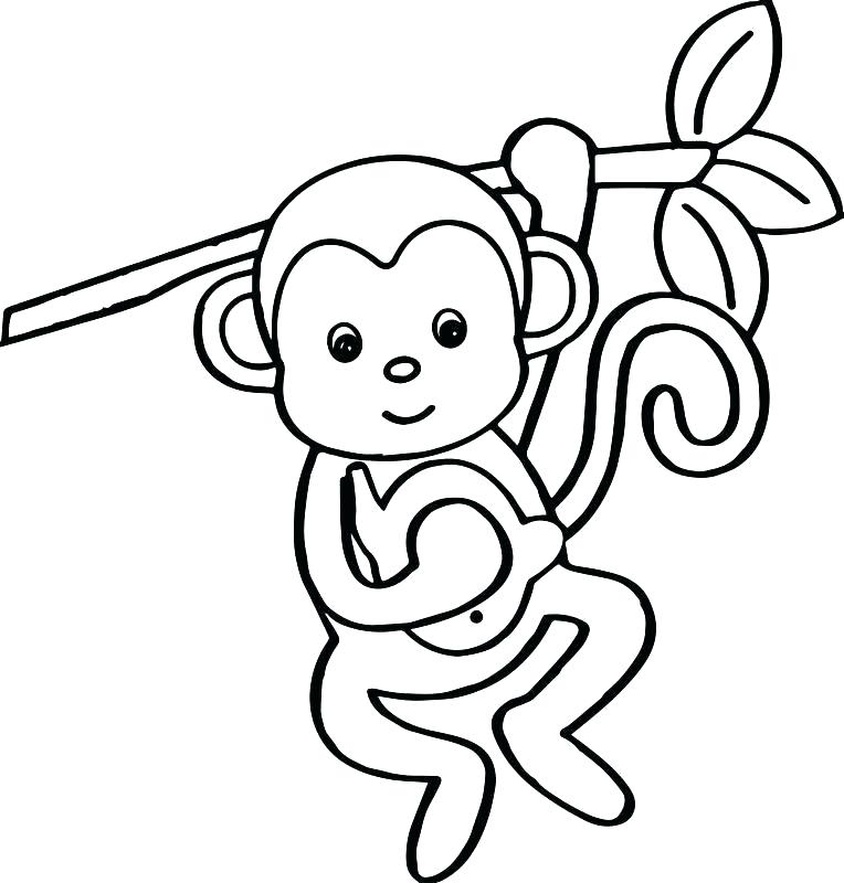 764x800 Monkey Color Pages Baby Monkey Coloring Pages Baby Monkey Coloring