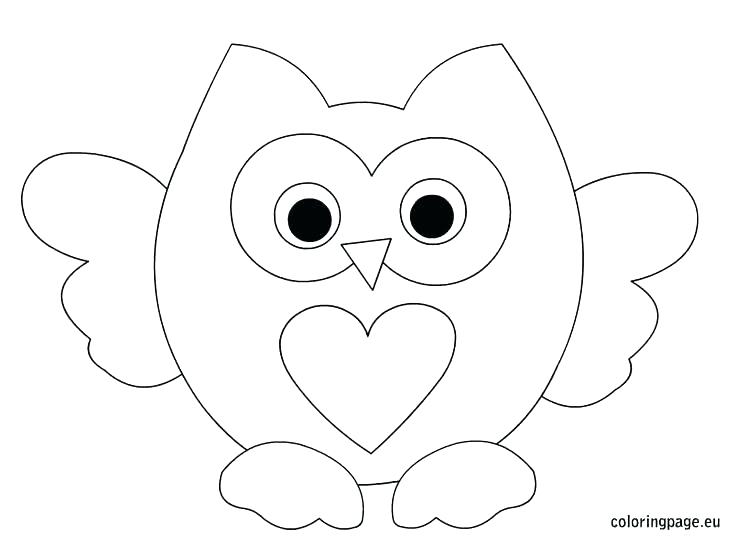 736x544 Baby Owl Coloring Pages Synthesis.site