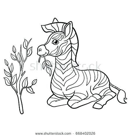 450x470 Coloring Pages Zebra Zebra Coloring Pages Coloring Pages Animals