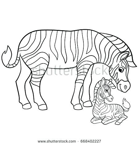 450x470 Zebra Coloring Book Plus Zebra Coloring Pages 3 11