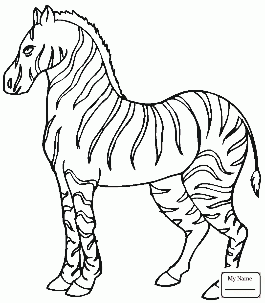 1072x1224 Coloring Pages For Kids Mammals Zebras Cute Baby Zebra