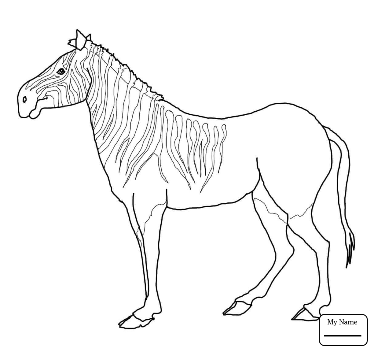 1224x1151 Coloring Pages For Kids Zebras Cute Baby Zebra Mammals