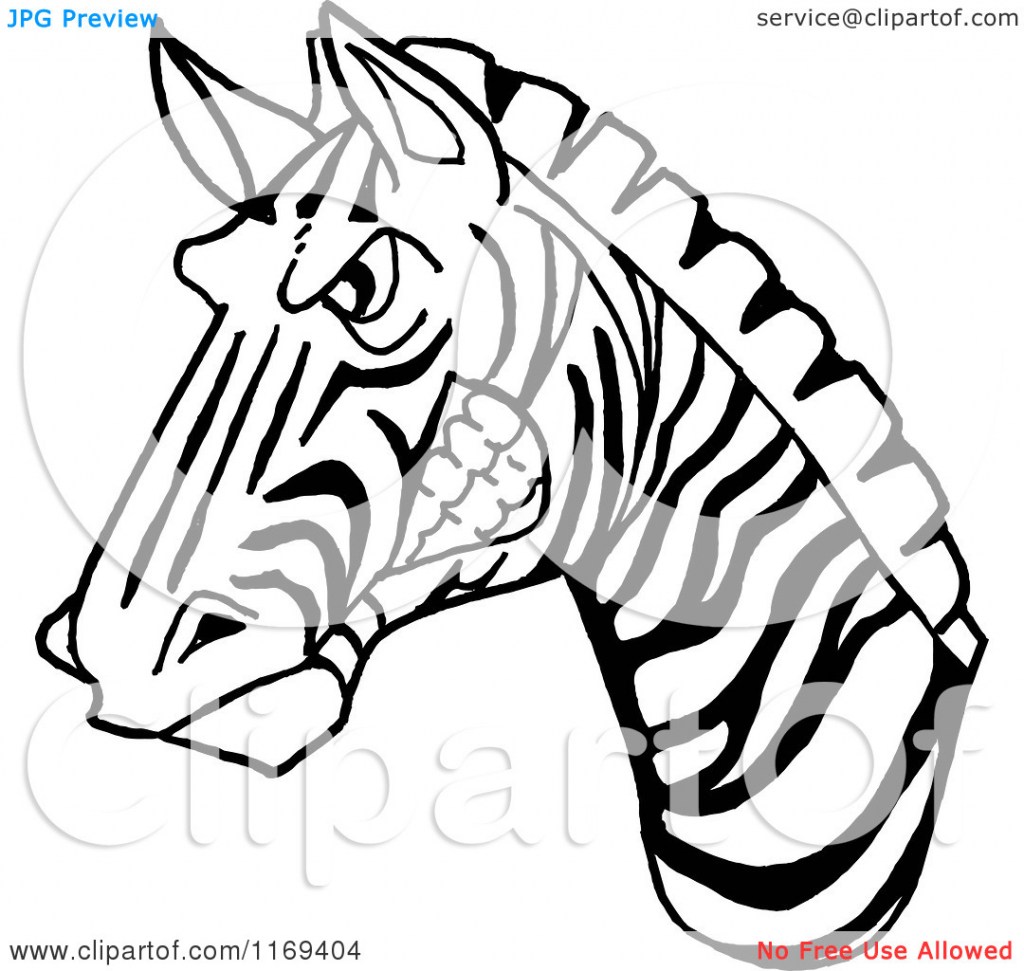 1024x971 Baby Zebra Cartoon Drawing