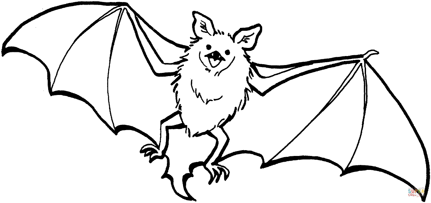 1486x699 Cute Bat Coloring Page Free Printable Coloring Pages