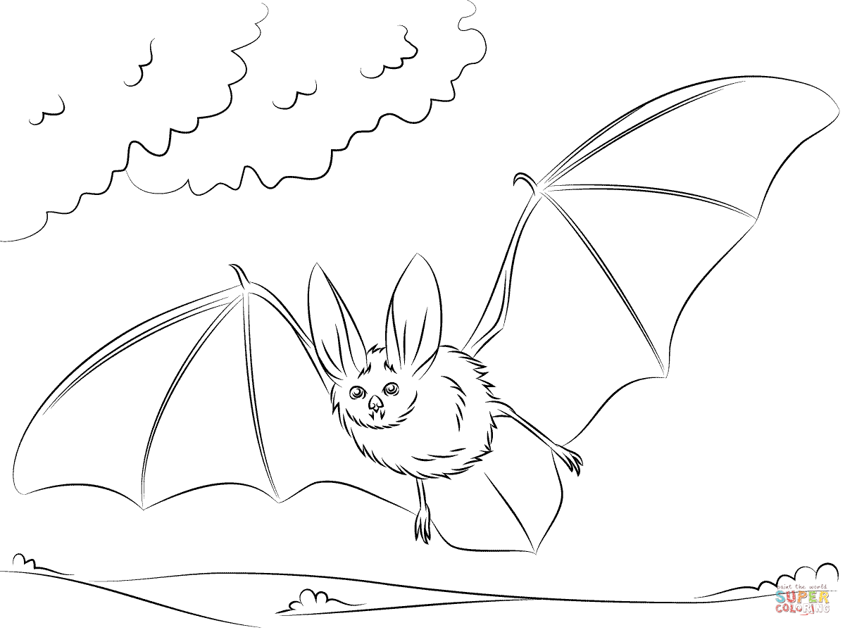 1200x895 Townsend's Big Eared Bat Coloring Page Free Printable Coloring Pages
