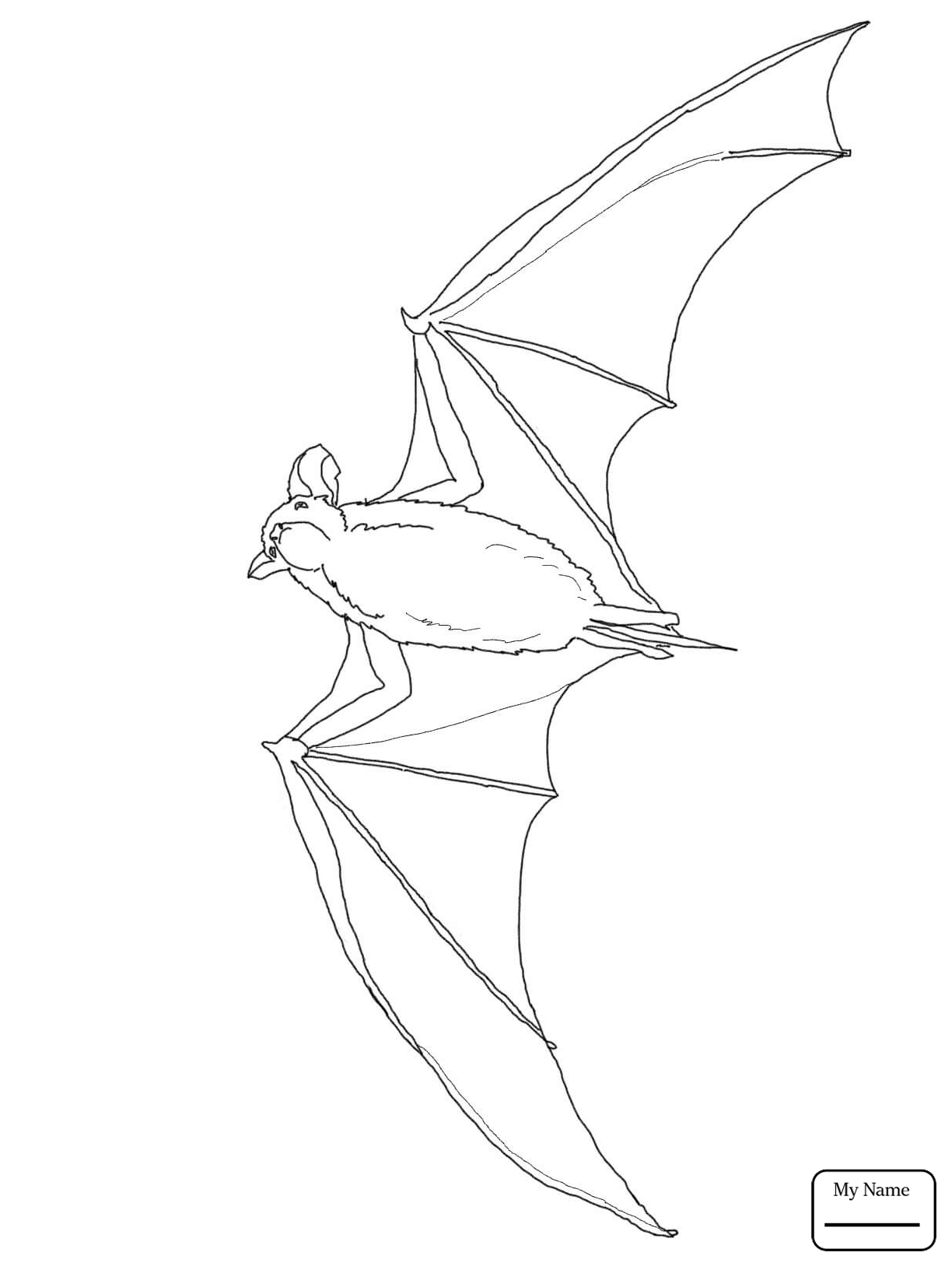 1224x1632 Bats Cute Bat Mammals Coloring Pages