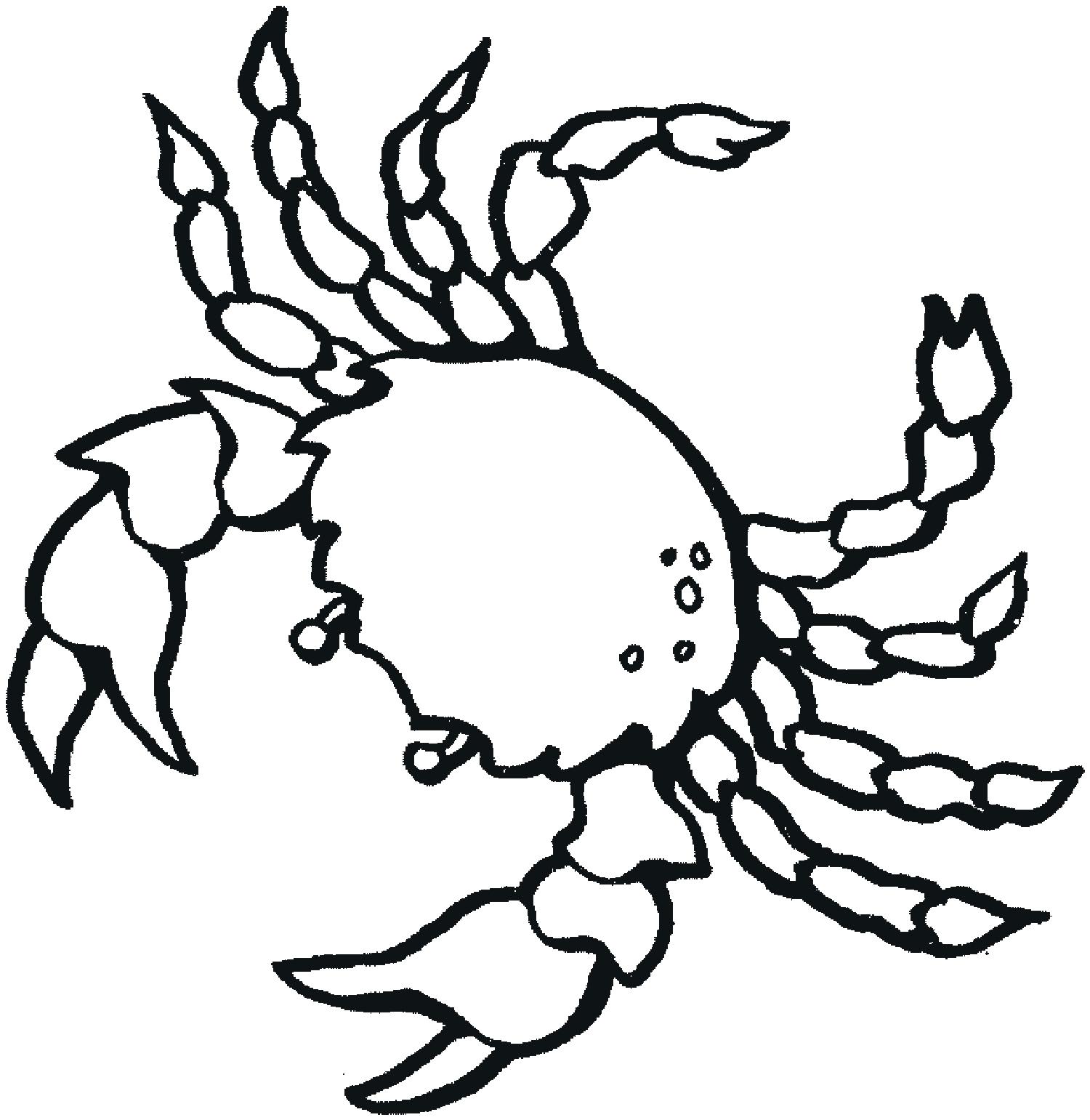 1500x1541 Coloring Coloring Page Animal Pumpkin Pages Lovely Step By How