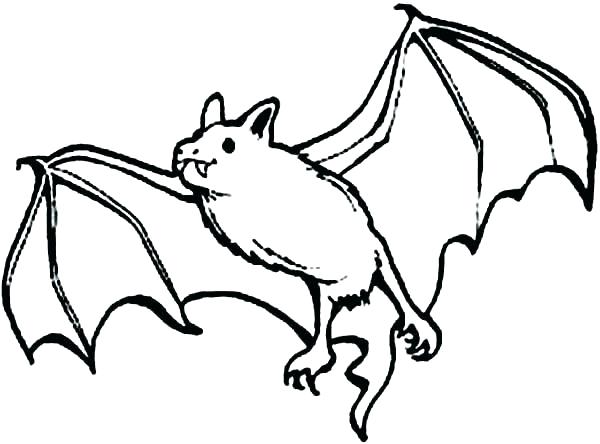 600x444 Bat Coloring Page Bats Coloring Pages Cute Bat Coloring Pages Bats