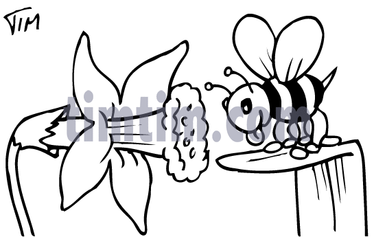 545x345 Free Drawing Of A Bee Lily Bw From The Category Birds Amp Insects