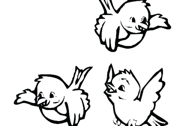 640x420 Coloring Pictures Of Birds Flying Cute Bird Illustration Drawing