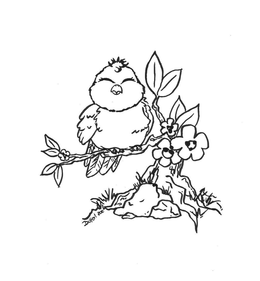 1026x1111 Cute Bird Coloring Pages