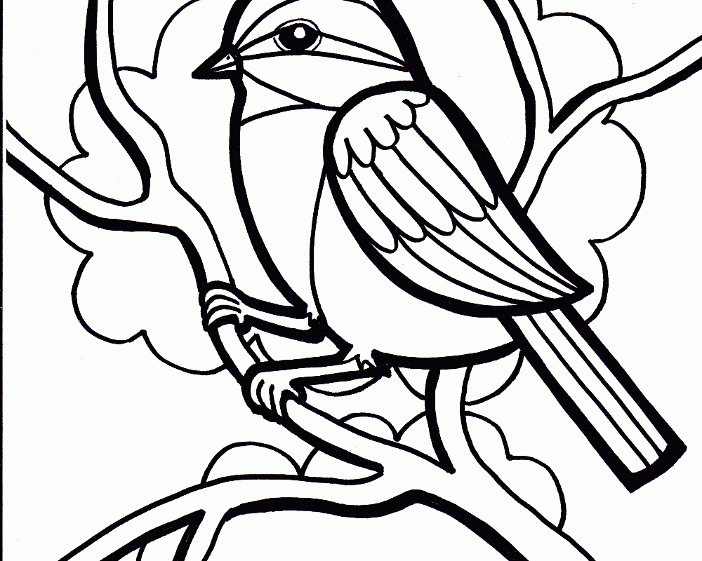 1000x800 Little Bird Color Pages Cute Coloring Free Printable Page Of Birds