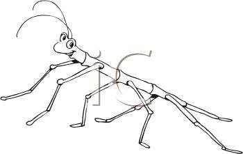 350x221 Cute Stick Bug In Black And White