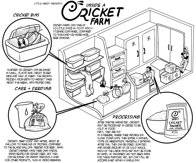 670x558 Little Herds