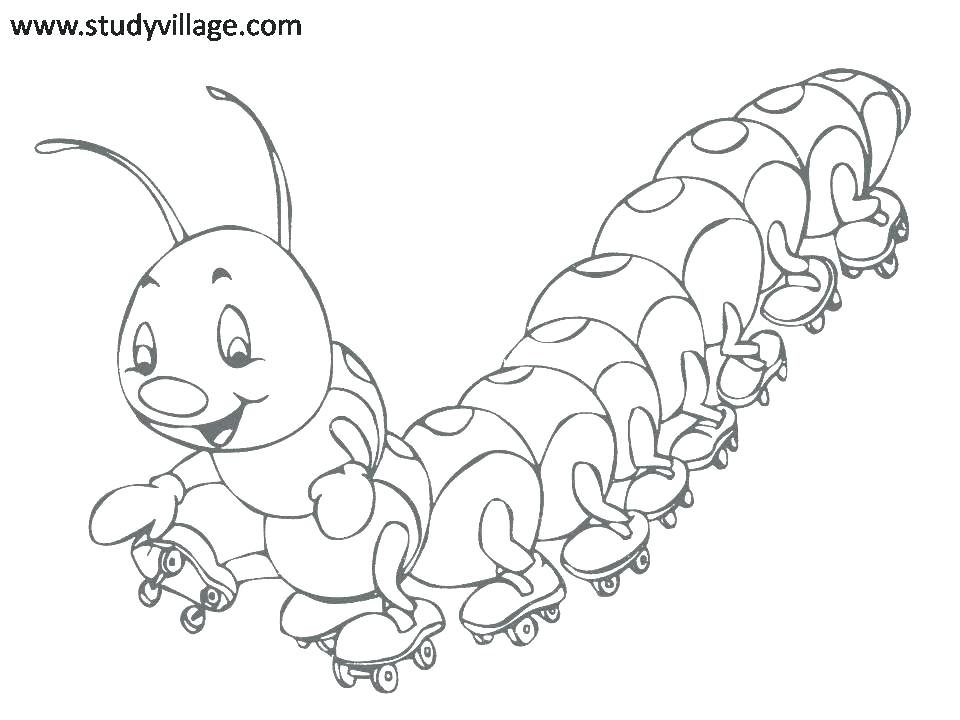 960x720 Bugs Coloring Page Coloring Pages Of Bugs Cute Insect Co Cute
