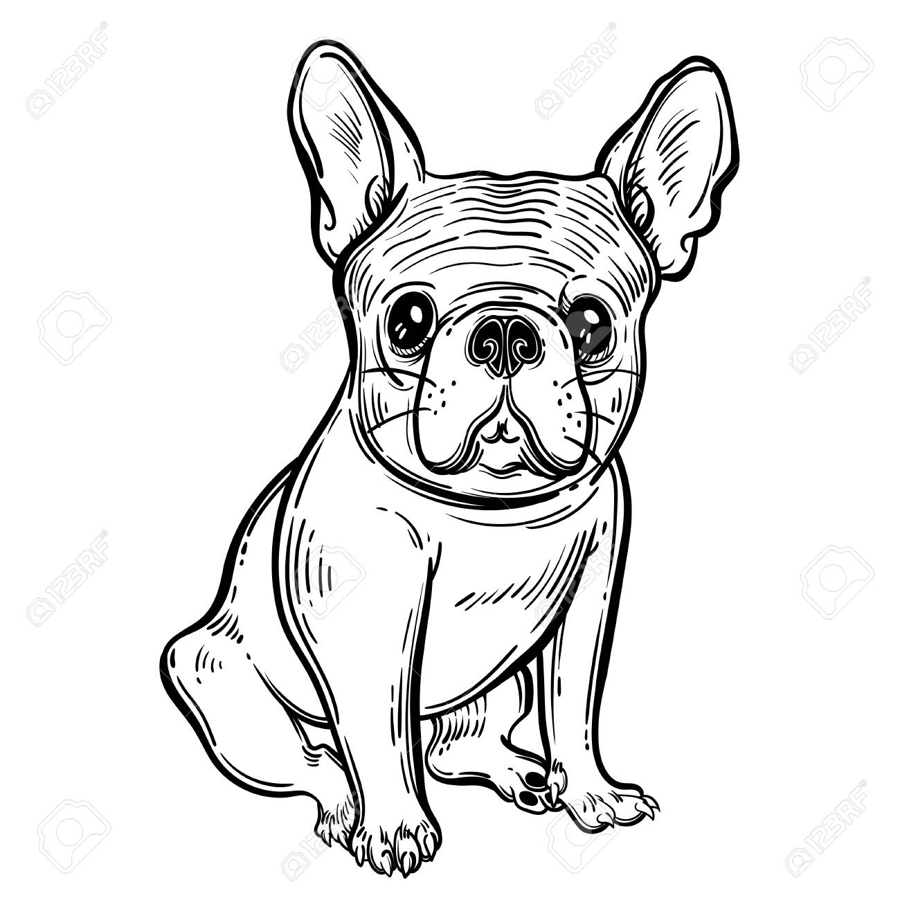 1300x1300 Cute Vector Illustration With French Bulldog. Home Dog. Color